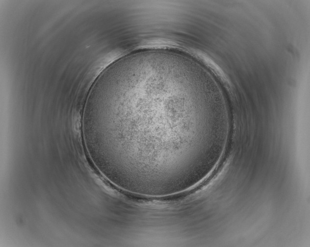X0000112781329200908201521