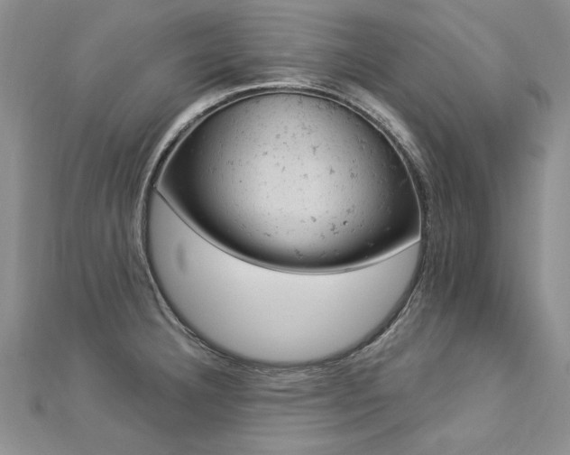 X0000112781332200908201521