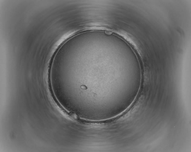 X0000112781333200908201521