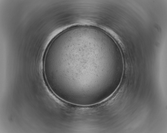 X0000112781335200908201521