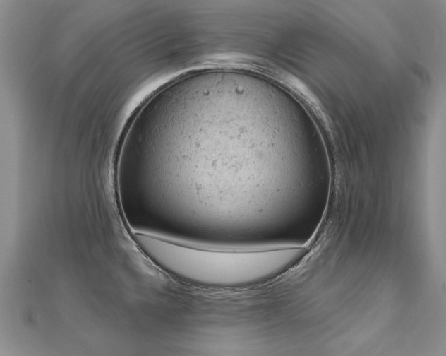 X0000112781336200908201521