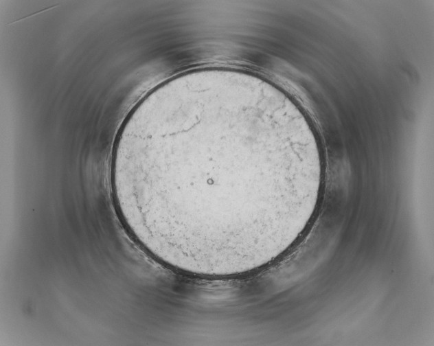 X0000112781338200908201521