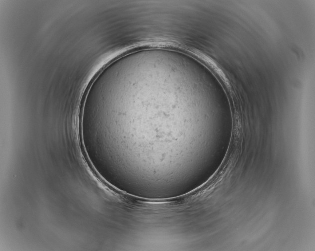 X0000112781343200908201521