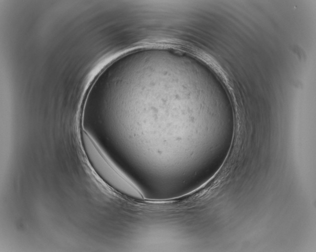 X0000112781344200908201521