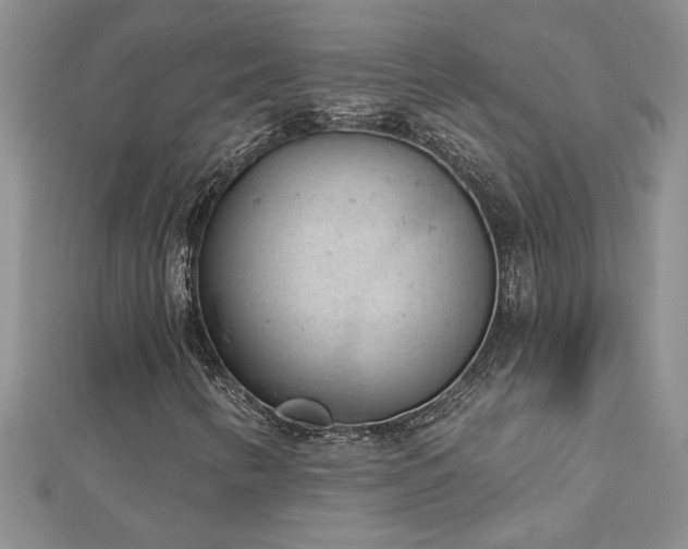 X0000112781346200908201520