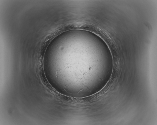 X0000112781349200908201520