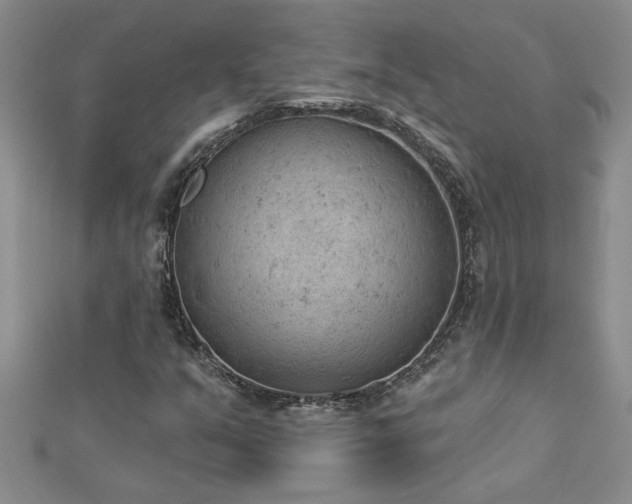 X0000112781351200908201520
