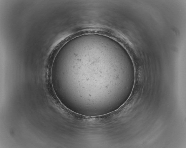 X0000112781352200908201520