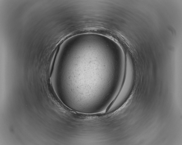 X0000112781353200908201520