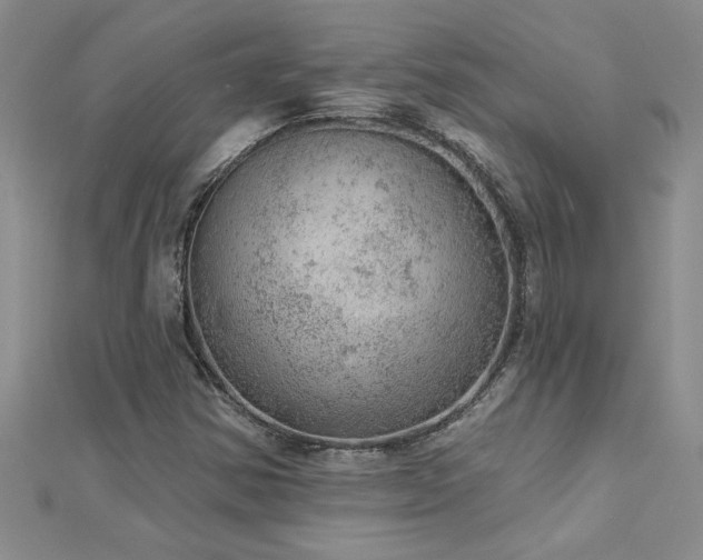 X0000112781354200908201520