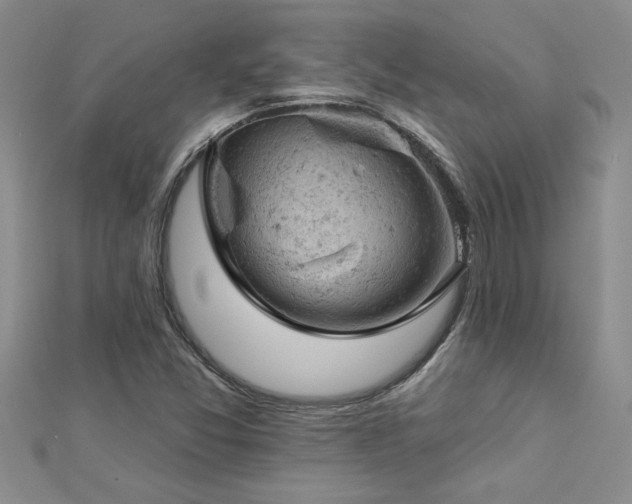 X0000112781357200908201520