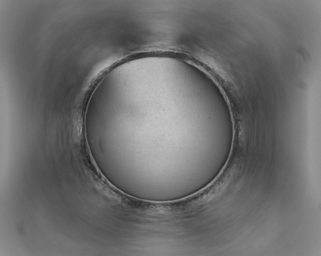 X0000112781358200908201520