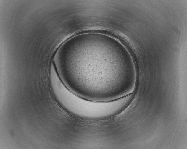 X0000112781361200908201520