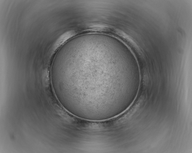 X0000112781362200908201520