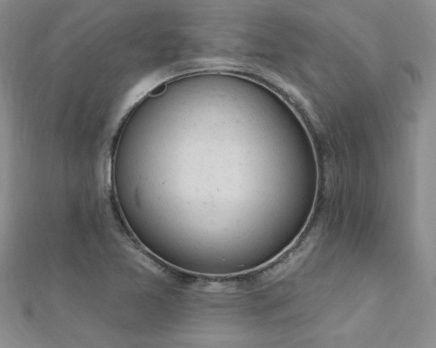 X0000112781365200908201520