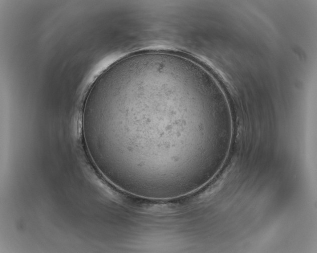 X0000112781367200908201520