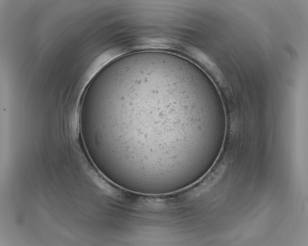 X0000112781370200908201520