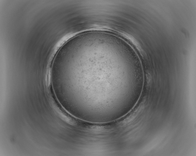 X0000112781371200908201520