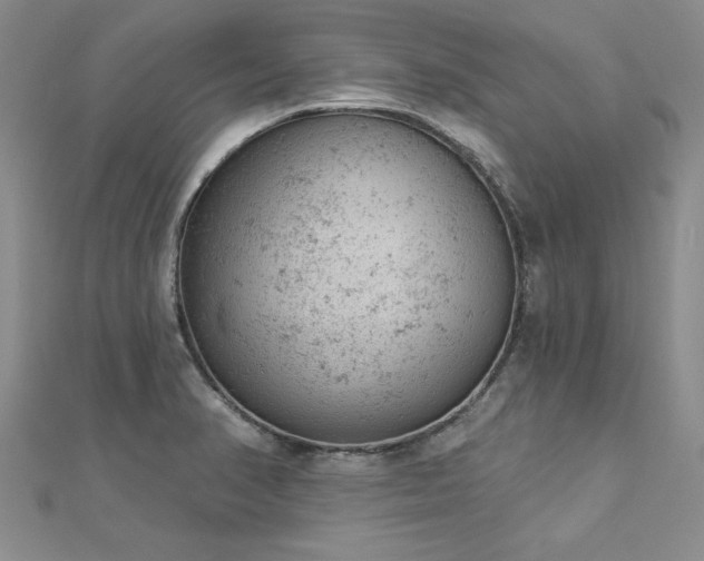 X0000112781374200908201520