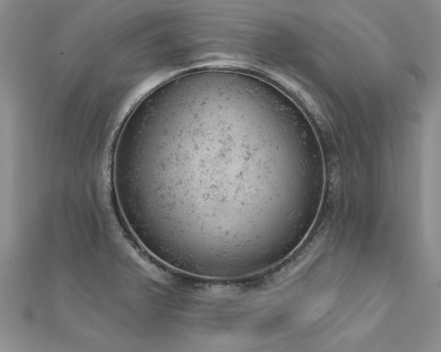 X0000112781375200908201520