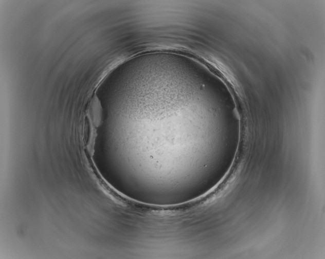 X0000112781377200908201520