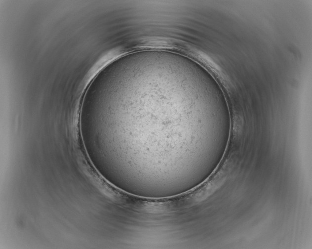 X0000112781378200908201520