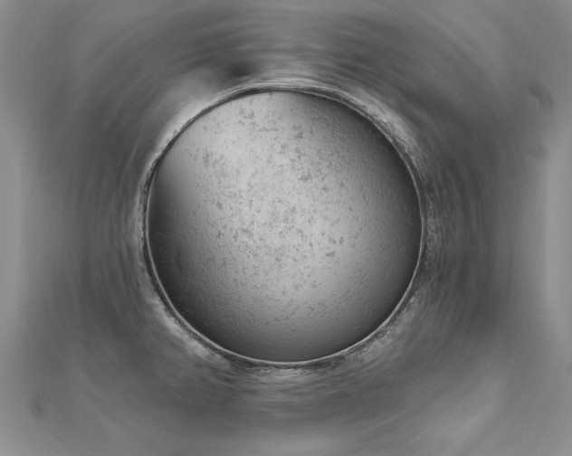 X0000112781382200908201520