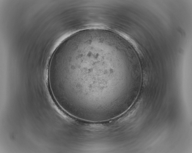 X0000112781383200908201520