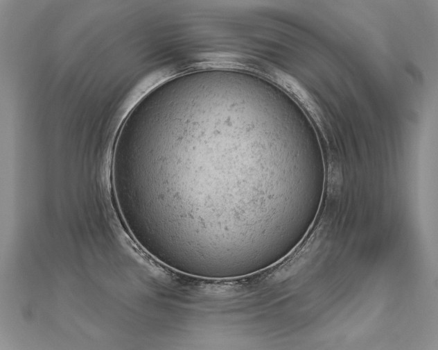 X0000112781386200908201520