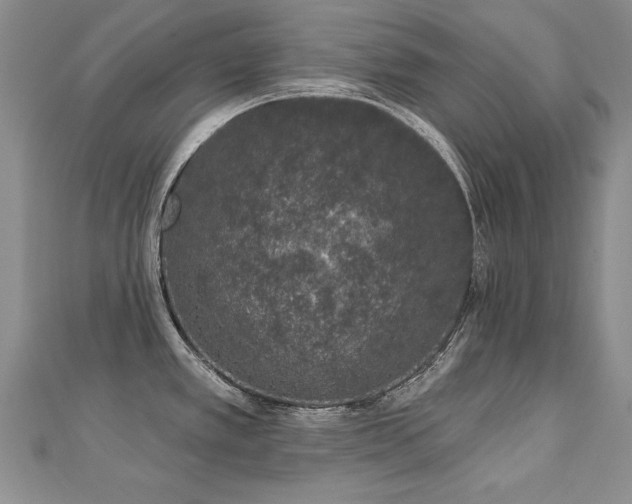 X0000112781389200908201520