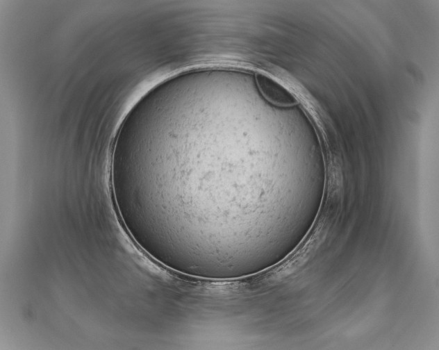 X0000112781390200908201520