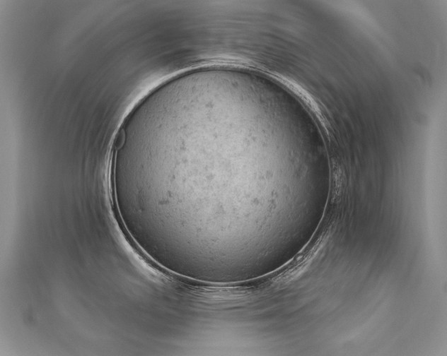 X0000112781391200908201520