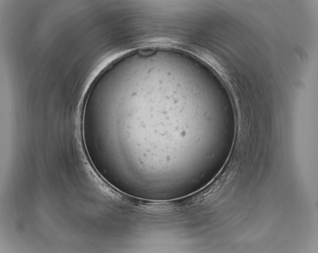 X0000112781392200908201520