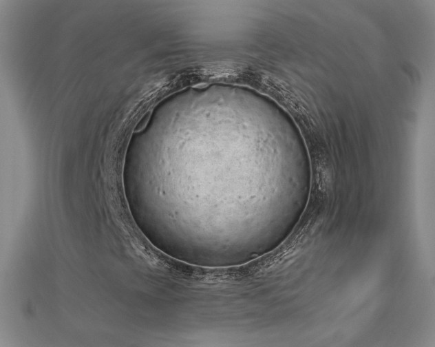 X0000112781393200908201519
