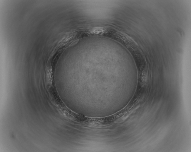 X0000112781394200908201519
