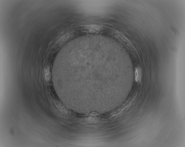 X0000112781395200908201519