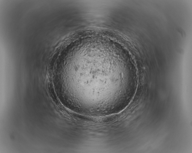 X0000112781397200908201519