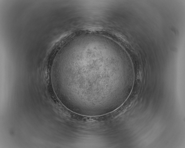 X0000112781398200908201519