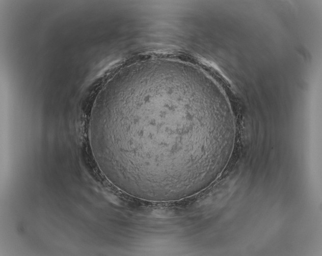 X0000112781399200908201519