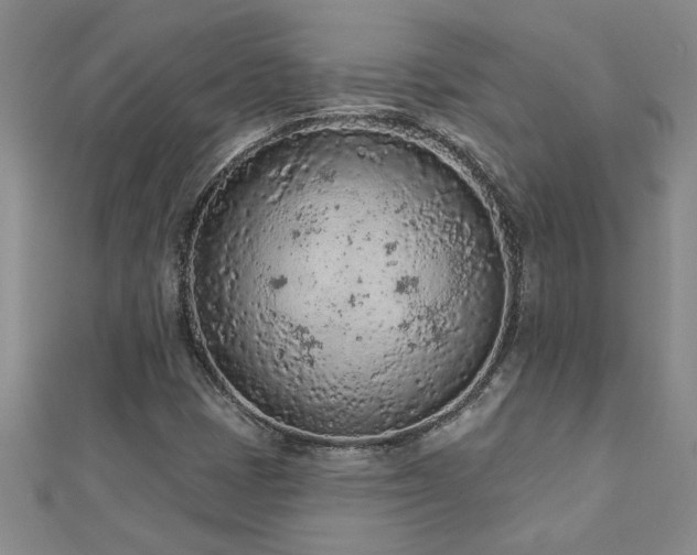 X0000112781401200908201519