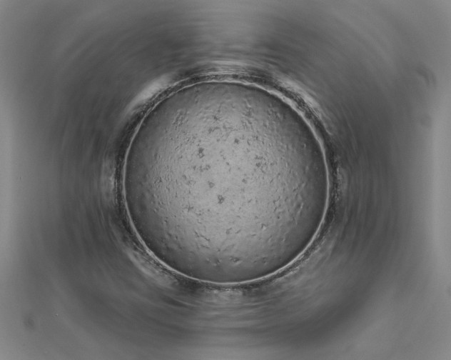 X0000112781403200908201519