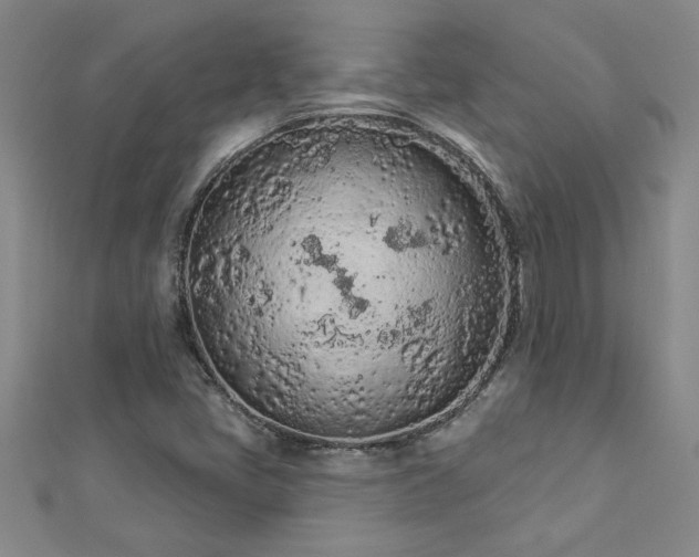 X0000112781405200908201519