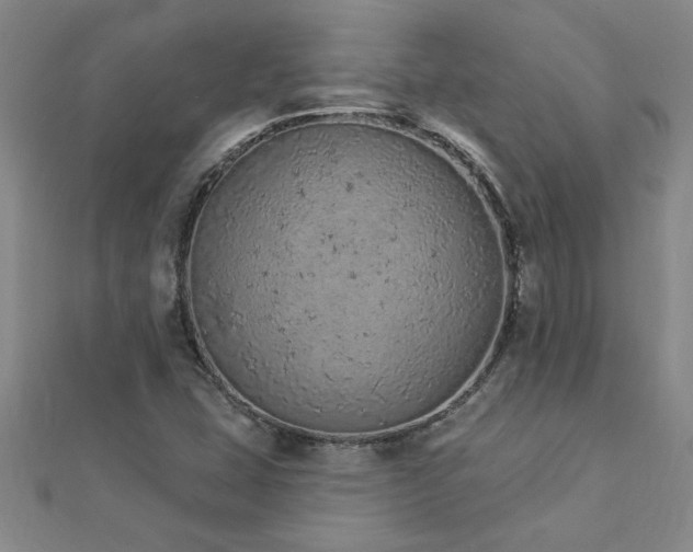 X0000112781407200908201519
