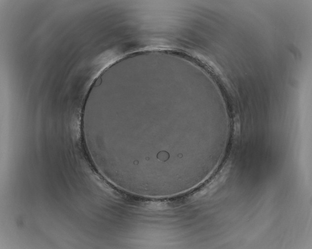 X0000112781409200908201519