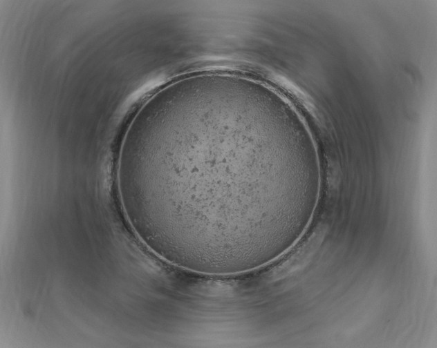 X0000112781411200908201519