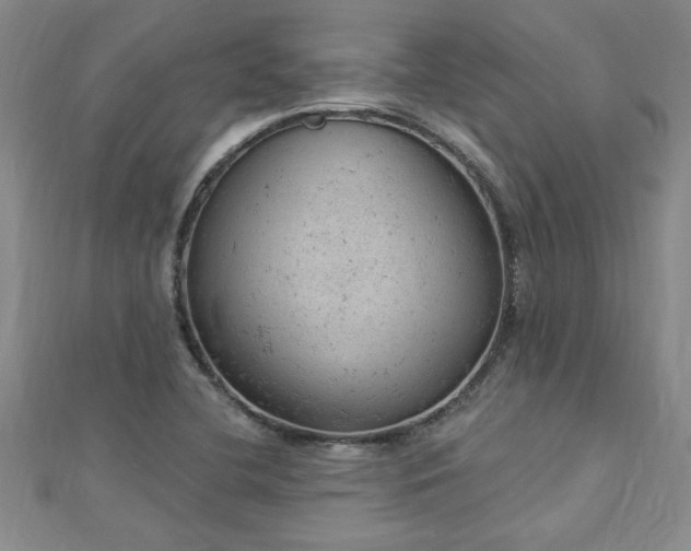 X0000112781412200908201519