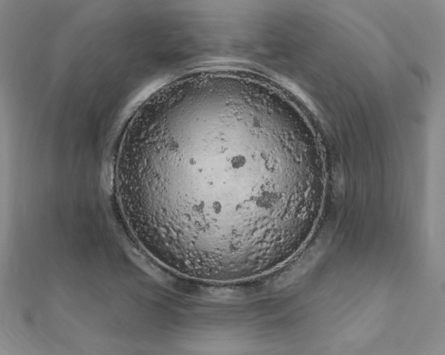 X0000112781413200908201519