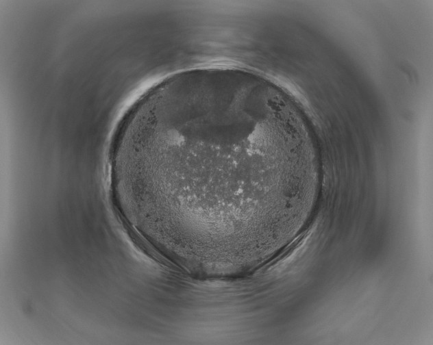 X0000112781414200908201519