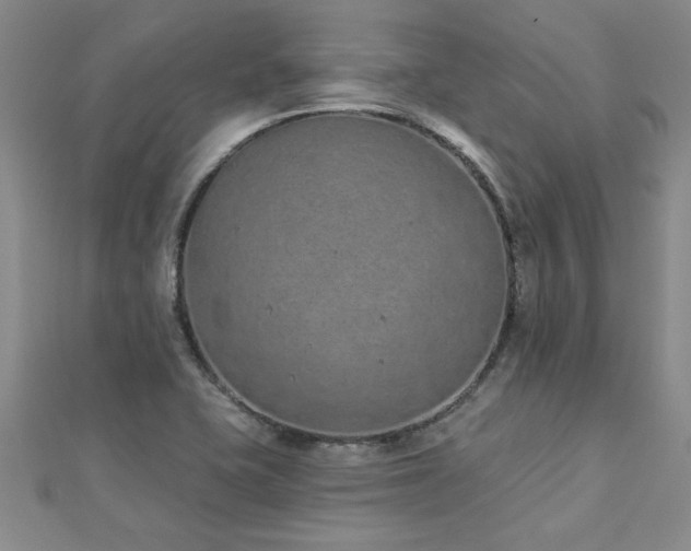 X0000112781415200908201519