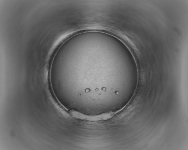 X0000112781416200908201519